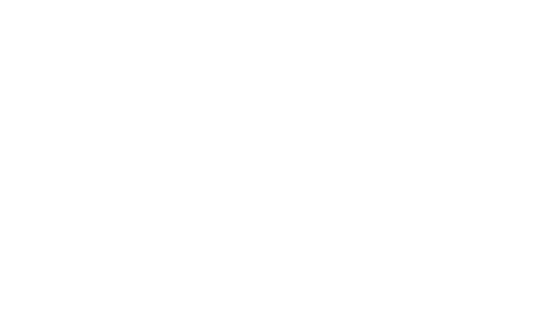 picharo mille